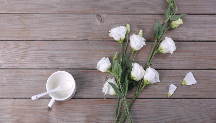 桔梗花的花语是什么意思