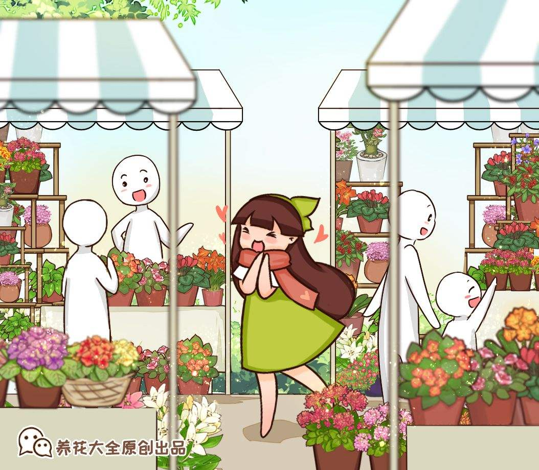 养花人要知道的开花日子，一年四季有花看