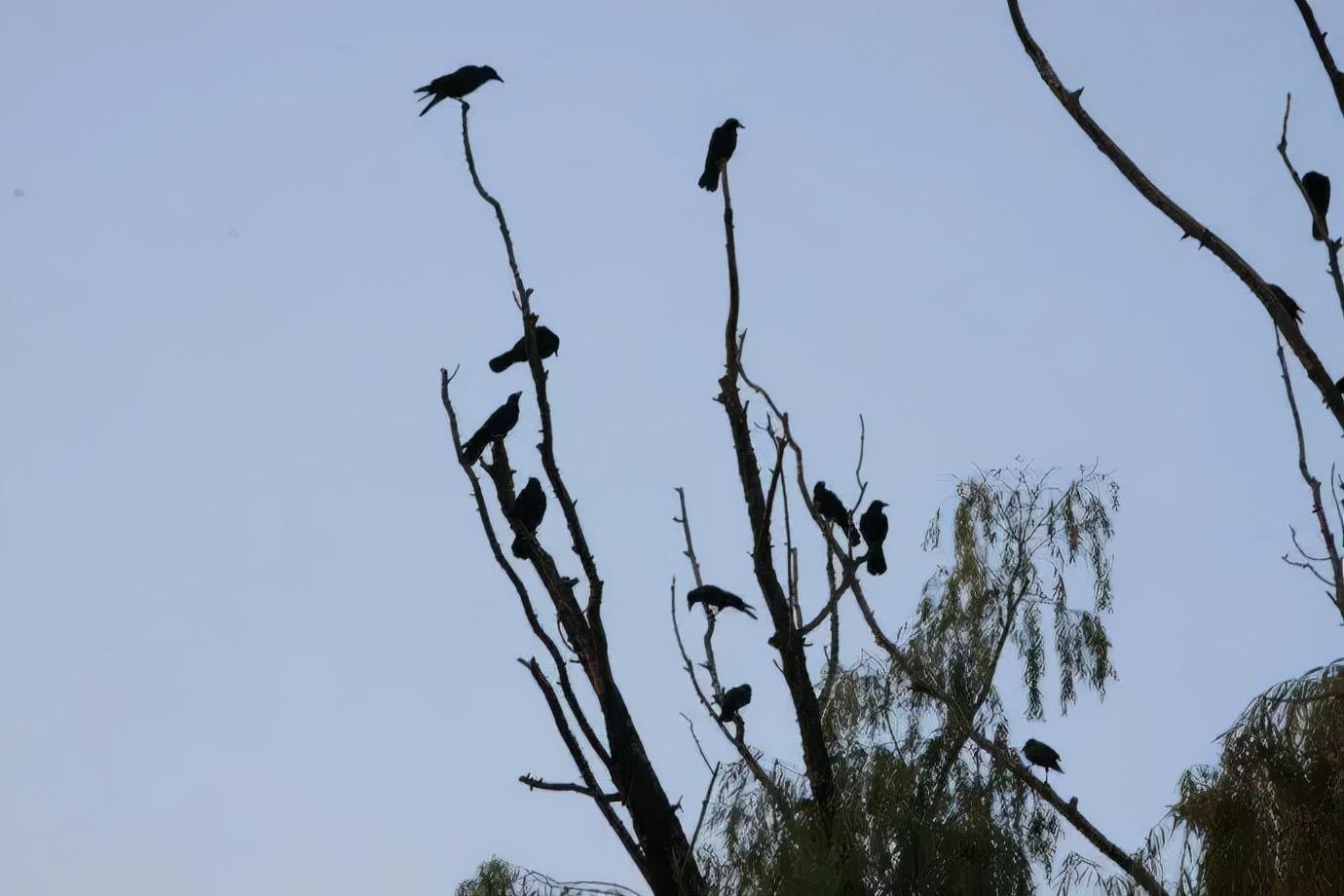 秦观最著名的十首诗词