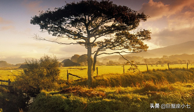 越老越精明聪明星座女