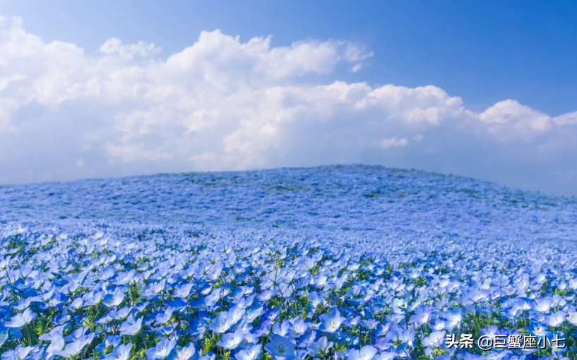 越老越精明聪明星座女