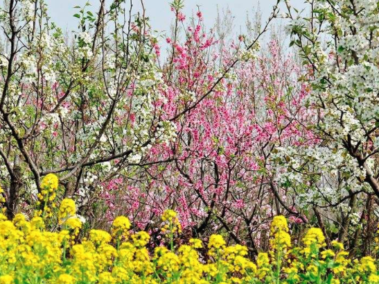 秦观最著名的十首诗词