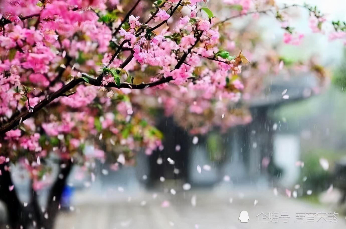 秦观最著名的十首诗词