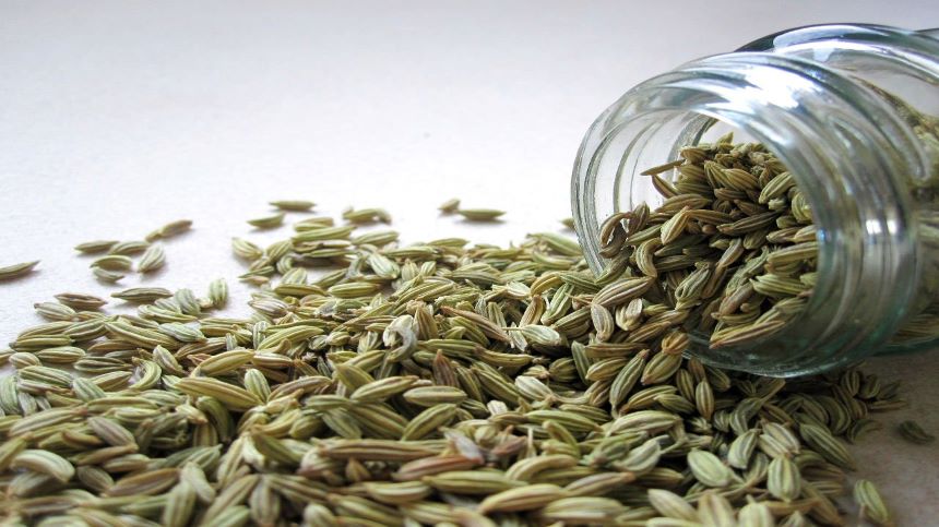茴香有几种?一文看懂他们的用法和区别
