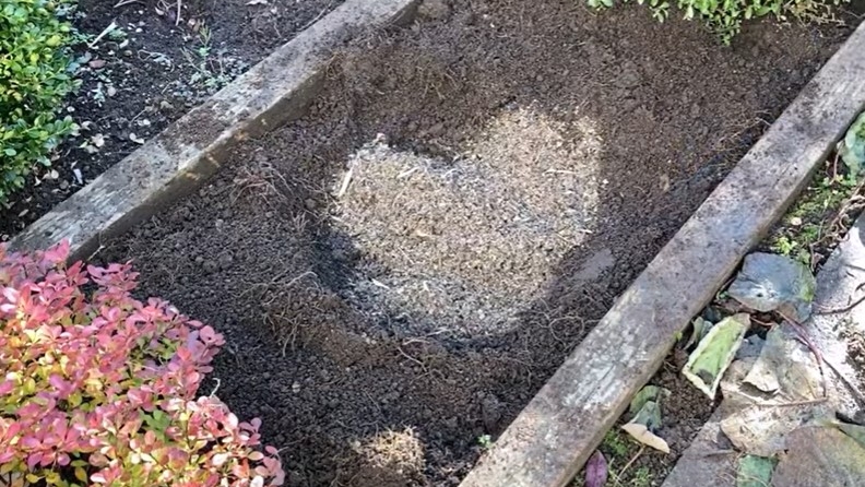 落叶堆肥制作腐叶土,肥效利用高,明年见惊喜