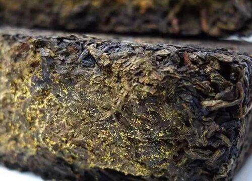 青砖茶属于什么茶