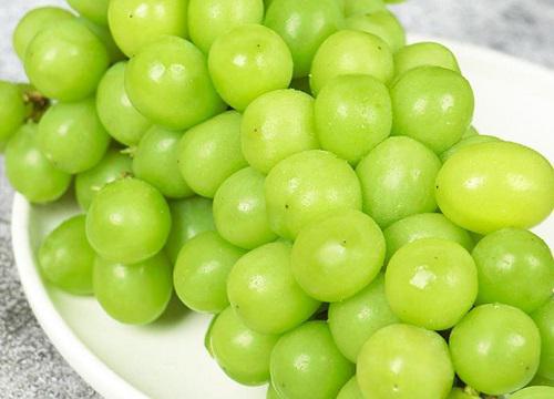 青提是热性还是凉性
