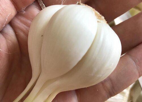 大蒜杀菌有科学依据吗 吃大蒜具有杀菌的作用吗