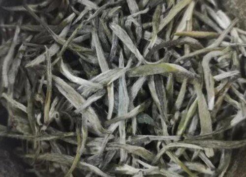 踏雪兰妃茶属于什么茶类型