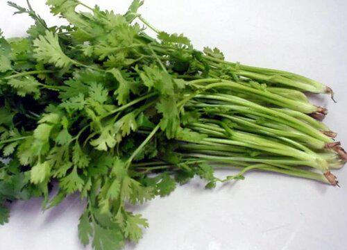 香菜是热性还是凉性 香菜是热性还是寒性食物