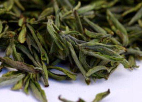 紫笋茶属于什么茶