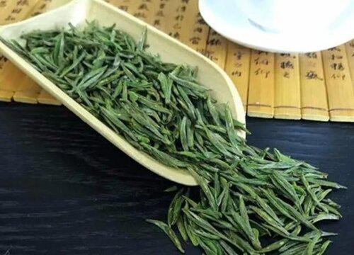 紫笋茶属于什么茶