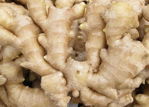 生姜烂了切掉还能吃吗 发霉姜坏掉的位置切除了能吃吗