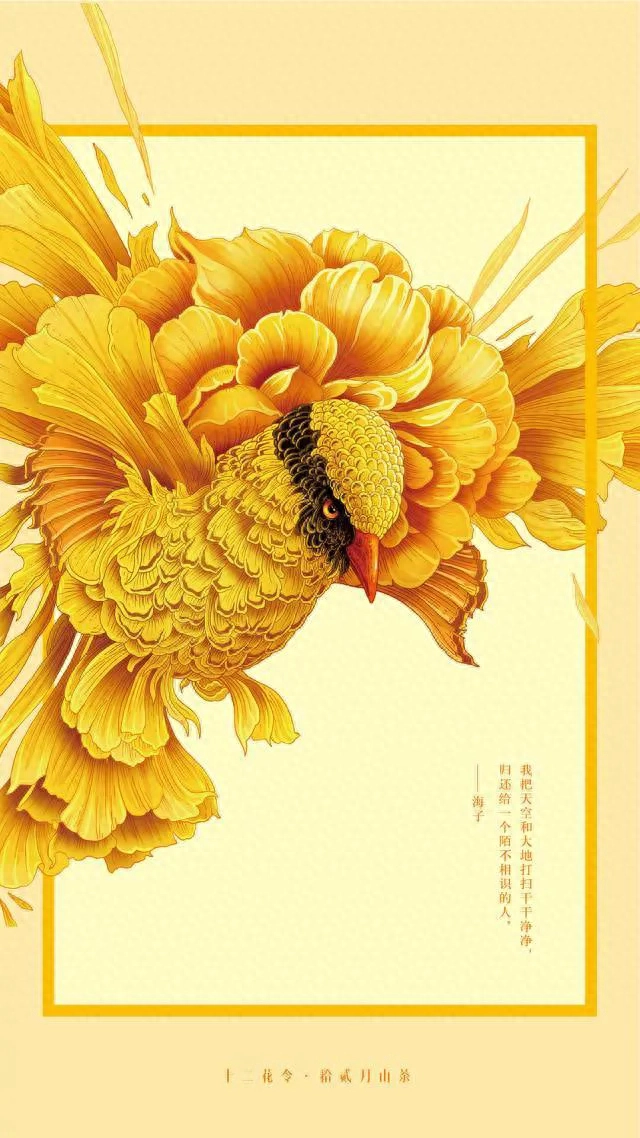 十二花令图人们常说的“富贵千秋”花——牵牛花特写图片