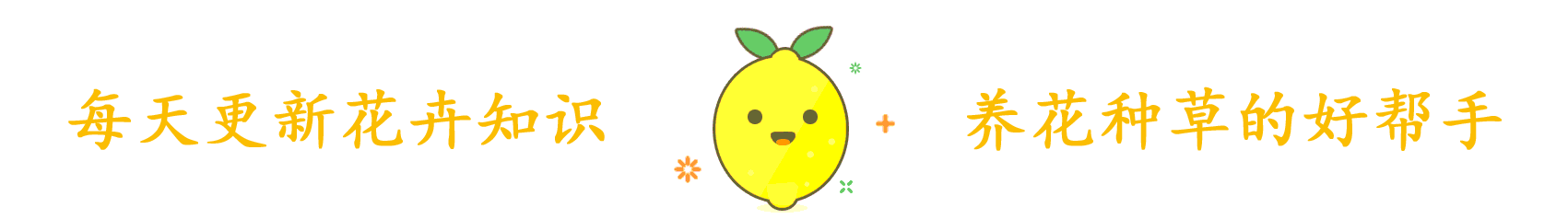 看看中药界有哪些美丽的花桃花是春天里最美丽的花朵之一