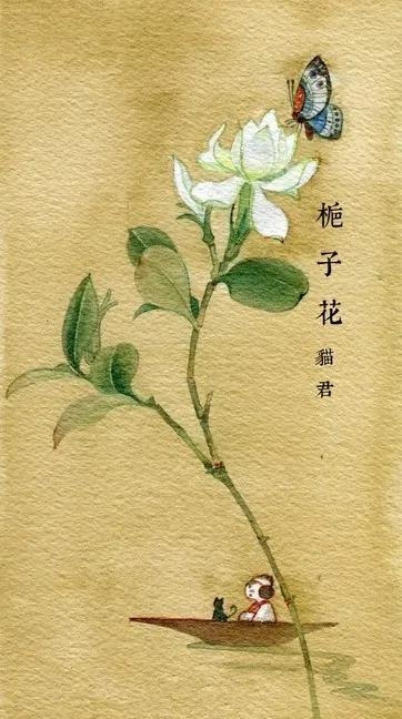 花朵壁纸：栀子花盆栽栀子花买一盆挂一盆，到底是哪一点没做好