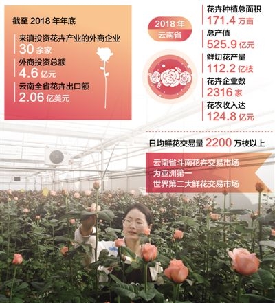 春天里，玫瑰芬芳春天里的中国丨万物复苏 春意盎然