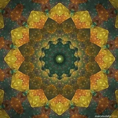 曼陀罗能量图,农村常见的“喇叭花”不要采,竟然有剧毒,也是天然的麻药