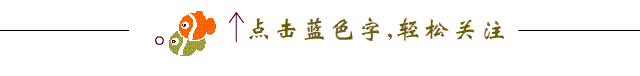 摆在家里这位花友的榕树长得茂盛,变成“小森林”,选好土壤自然长得好!