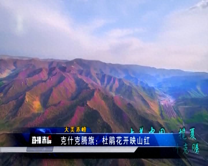 大美赤峰:克什克腾旗——杜鹃花开映山红杜鹃花开红艳艳