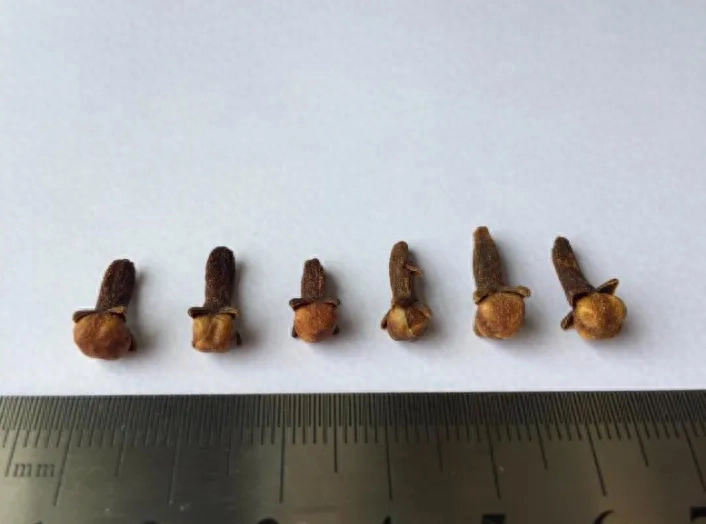 丁香空结雨中愁”丁香适合秋天的四款花茶，常饮暖胃，兼能安神助眠