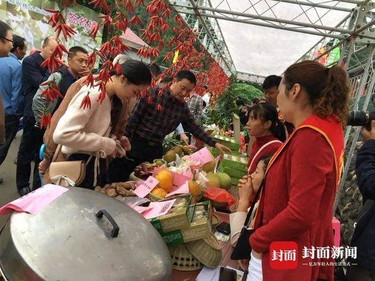 苍溪举行首届农民丰收节，专家学者齐聚四川苍溪 共谋猕猴桃高质量发展之路