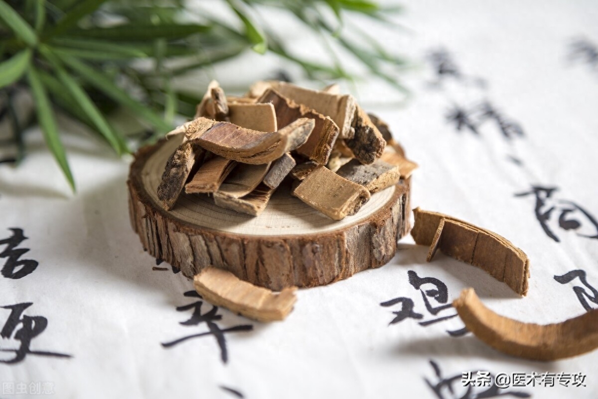 每天学习一味中药一秦皮农历中国 | 十月十四 · 女贞