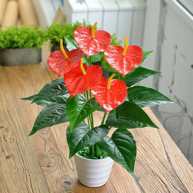 家中什么方位不能放绿植植物(客厅植物摆放位置风水)