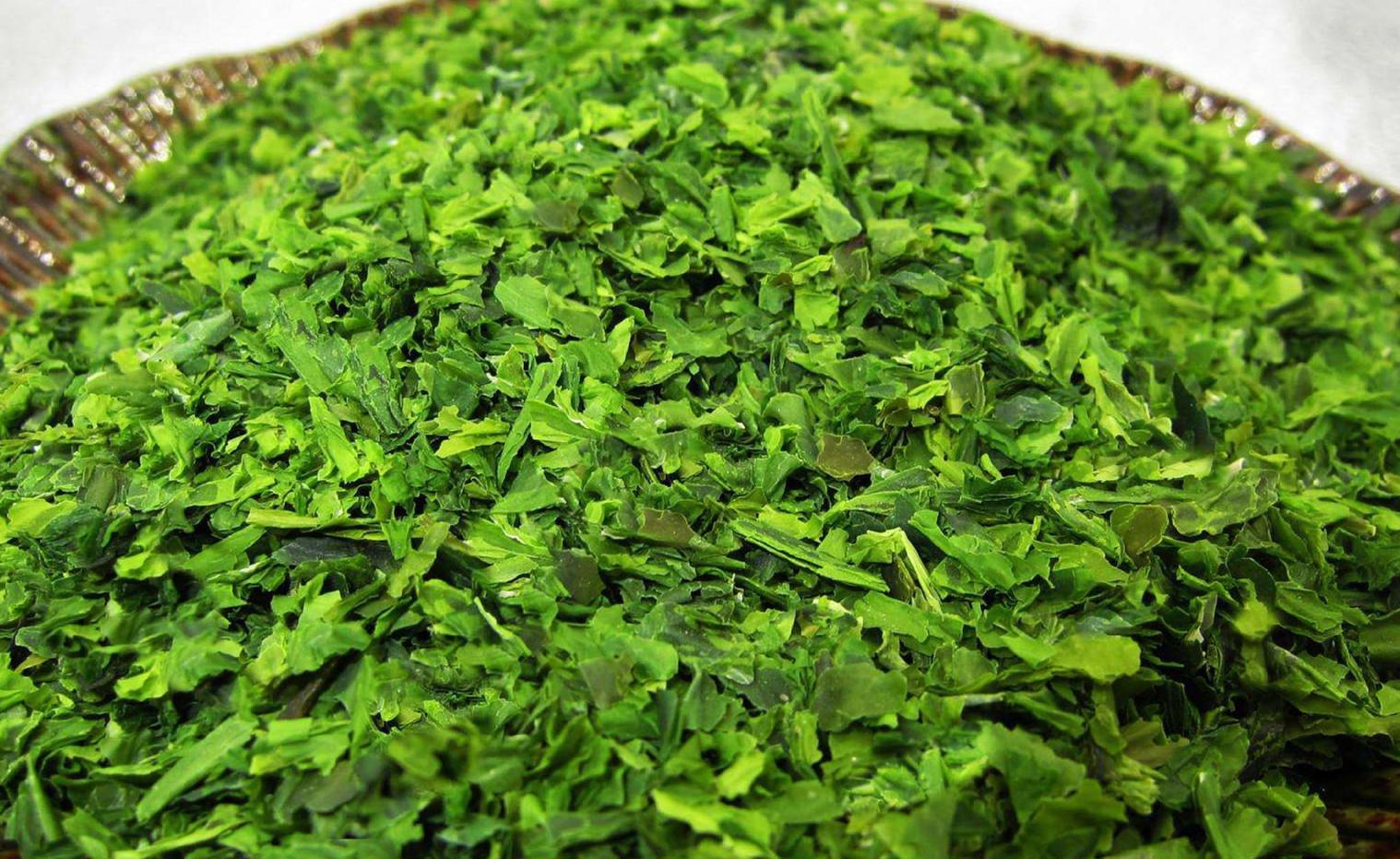 海里的植物可以吃的有哪些(可食用海草的种类)