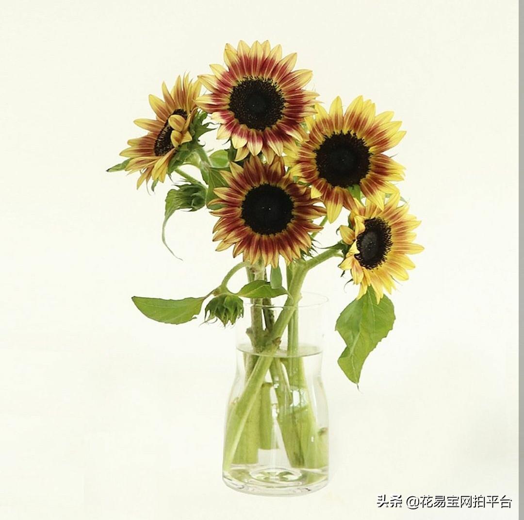 夏季鲜花如何保鲜存放