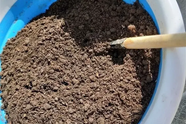 养多肉用什么土比较好