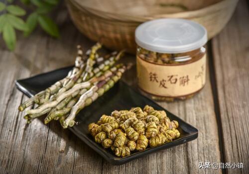 铁皮石斛种植环境条件（石斛的种植技术与管理）