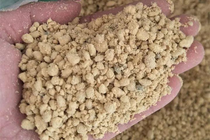 多肉用什么土壤种植最好(讲解多肉种植方法和注意事项)