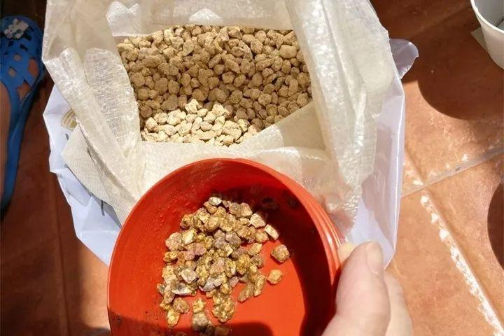 养多肉用什么土比较好