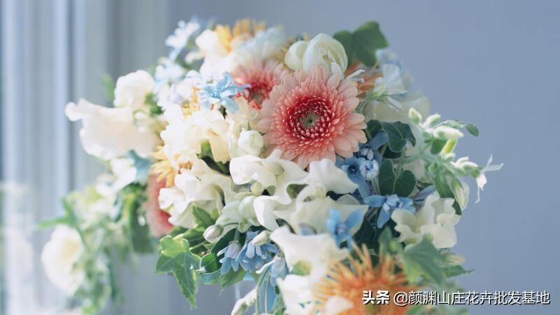 插花技巧与搭配（初学者必备的插花基础）