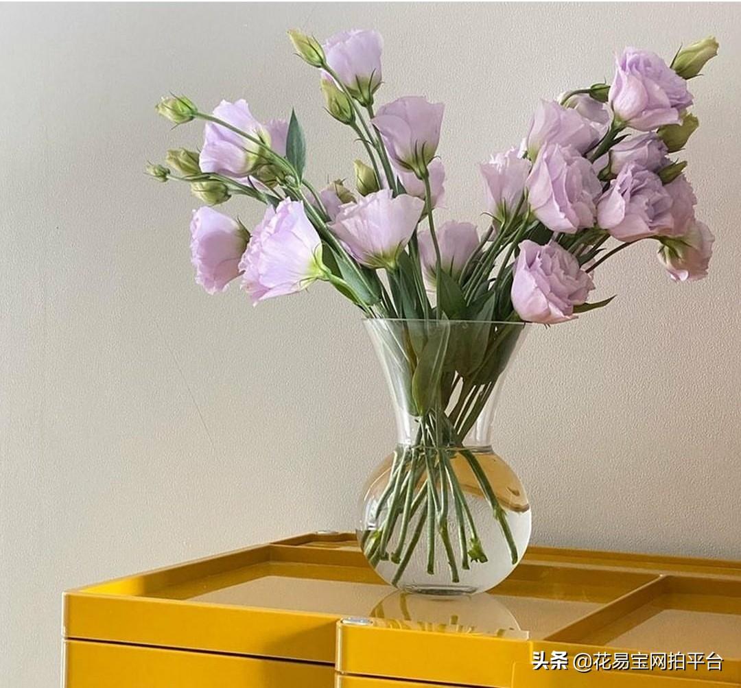 夏季鲜花如何保鲜存放