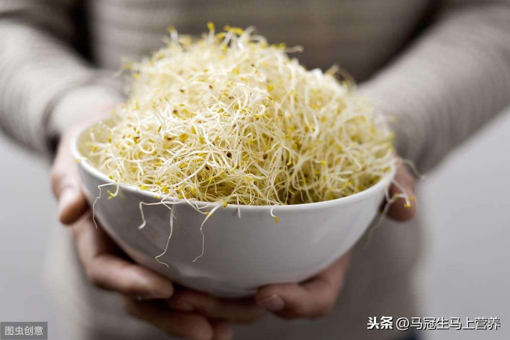 苜蓿是什么植物(种植苜蓿的成本与利润)
