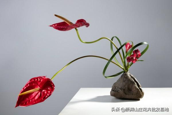 插花技巧与搭配(初学者必备的插花基础)