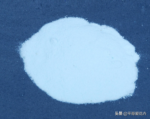 网上买的富贵竹怎么养活