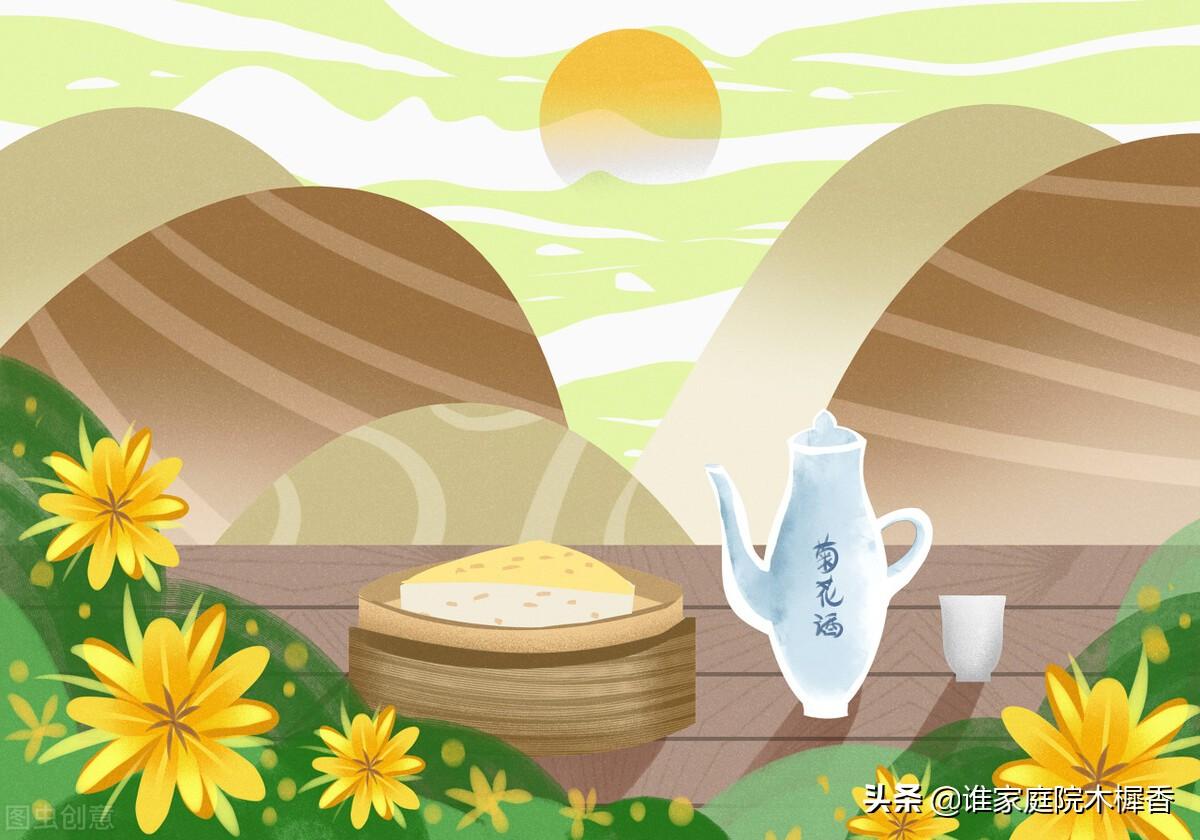 茱萸是什么植物(重阳节茱萸的含义)