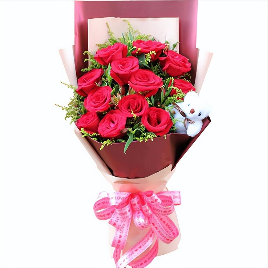 长生花怎么养（代表健康长寿的花）