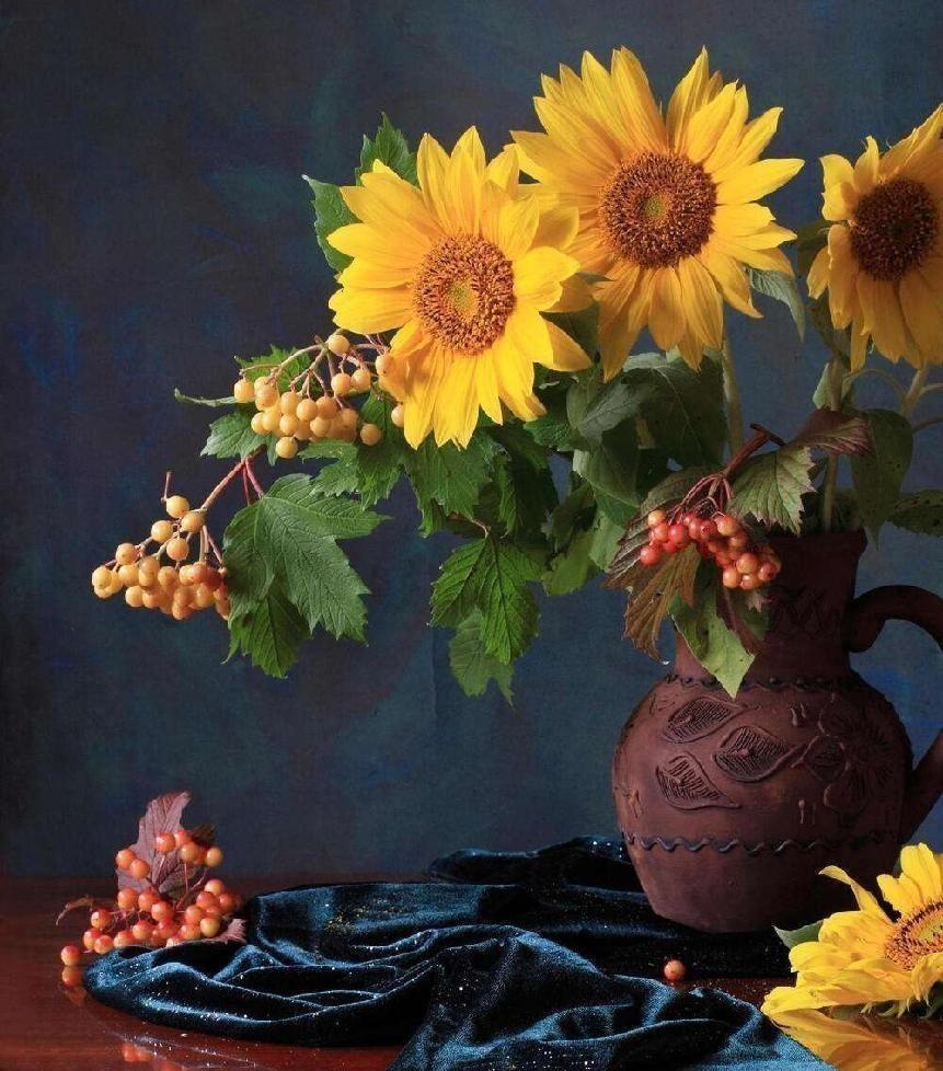 向日葵花语与寓意(讲解向日葵适合送的人)