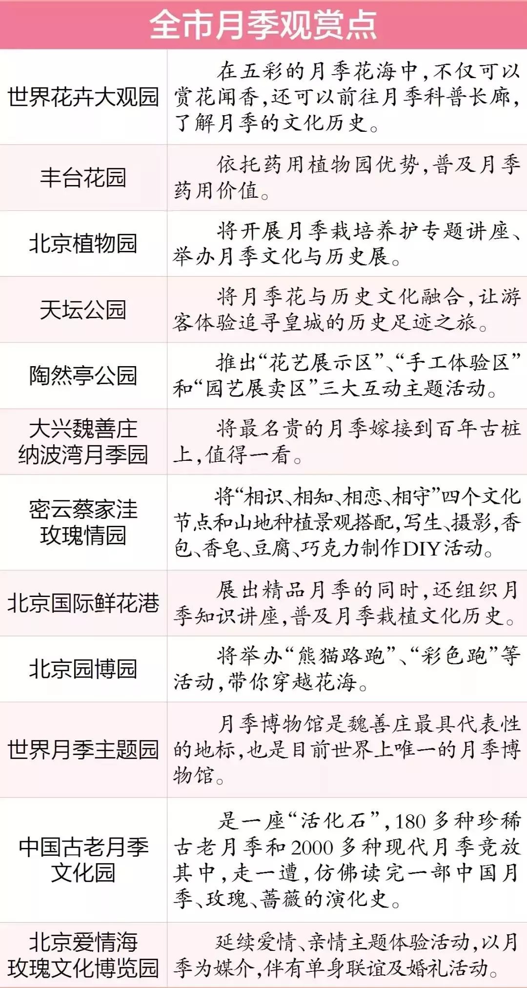 北京市花是什么花(北京的代表花介绍)