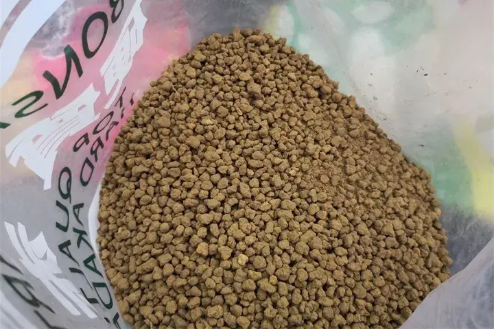 多肉用什么土壤种植最好(讲解多肉种植方法和注意事项)