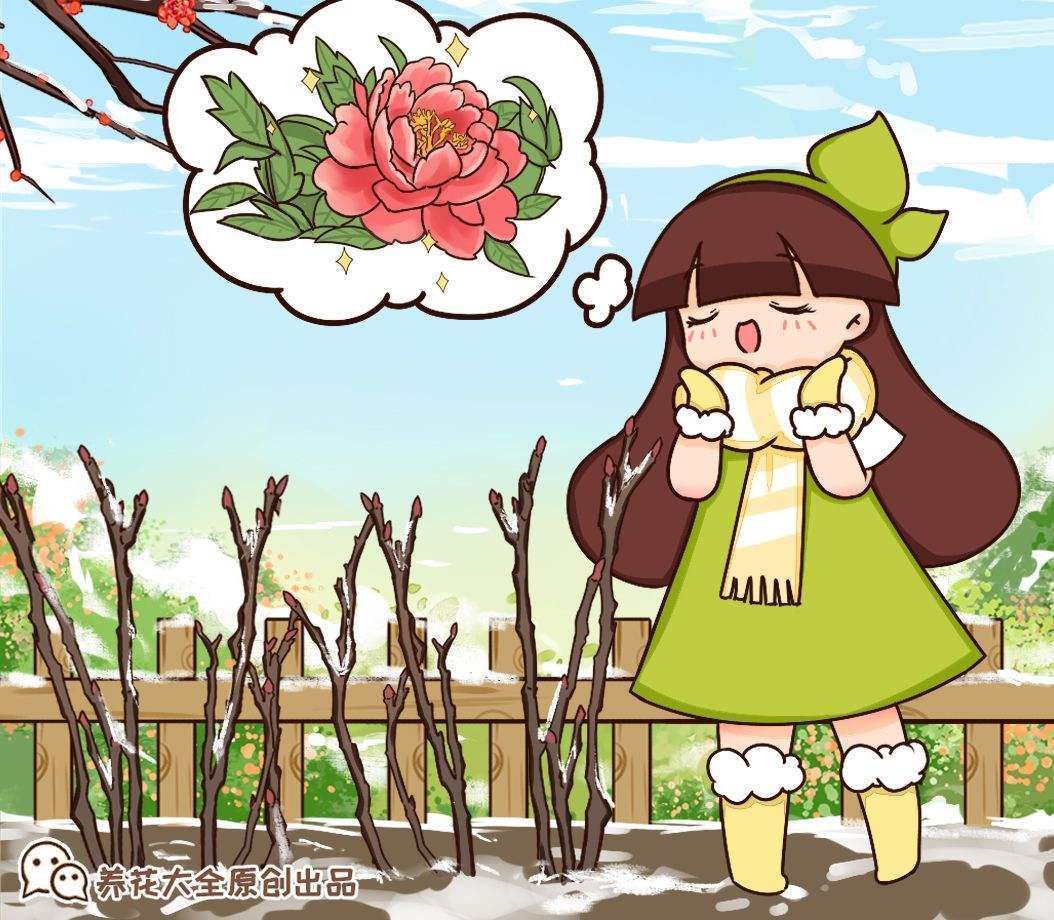 花中之王指的是什么花（花王牡丹的介绍）