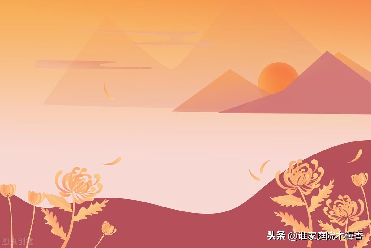 茱萸是什么植物(重阳节茱萸的含义)