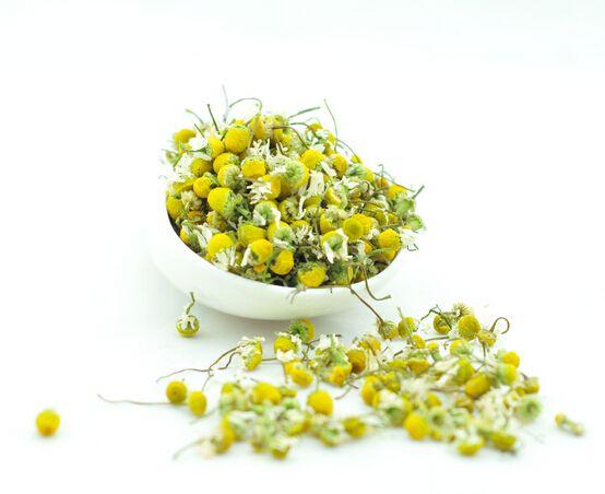 雏菊和洋甘菊的区别是什么