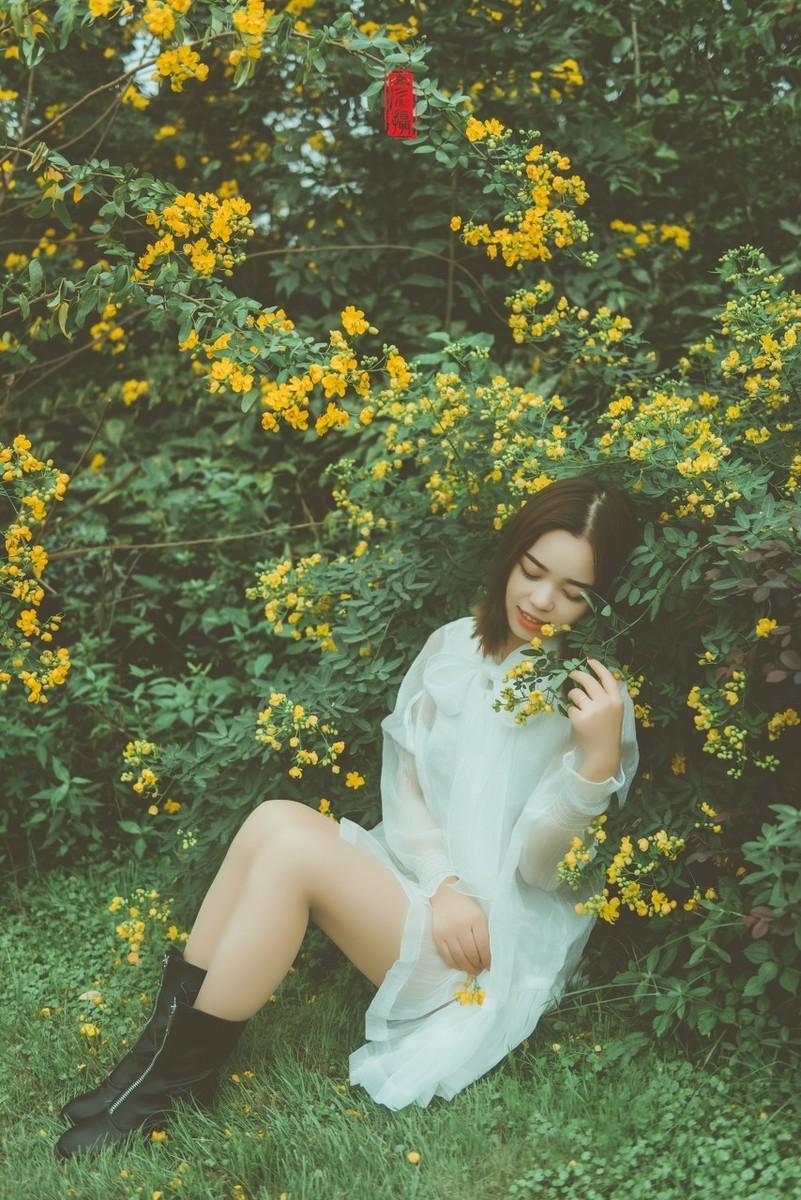 黄花决明子什么时候开花(黄槐决明与黄花槐区别)