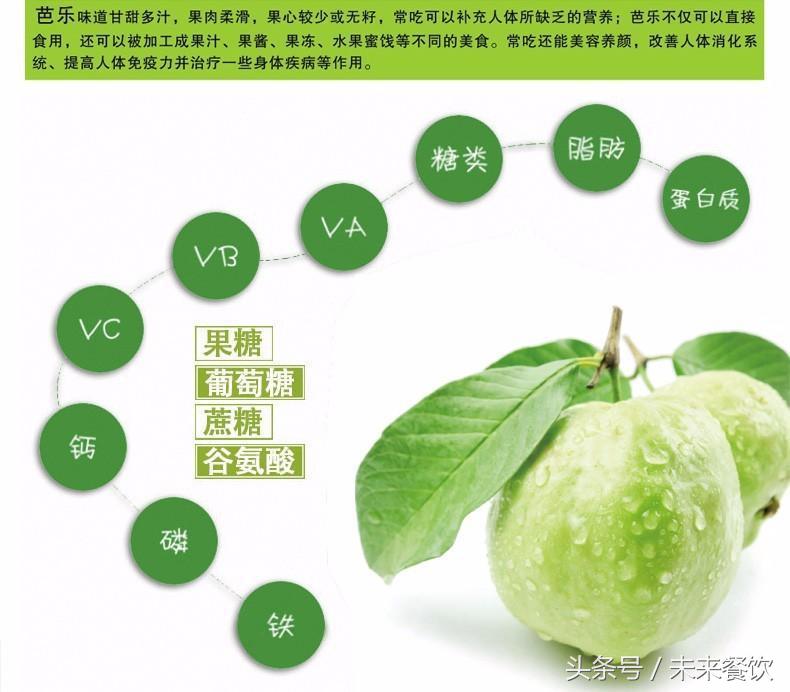 石榴与番石榴有什么区别(讲解番石榴和石榴的关系)
