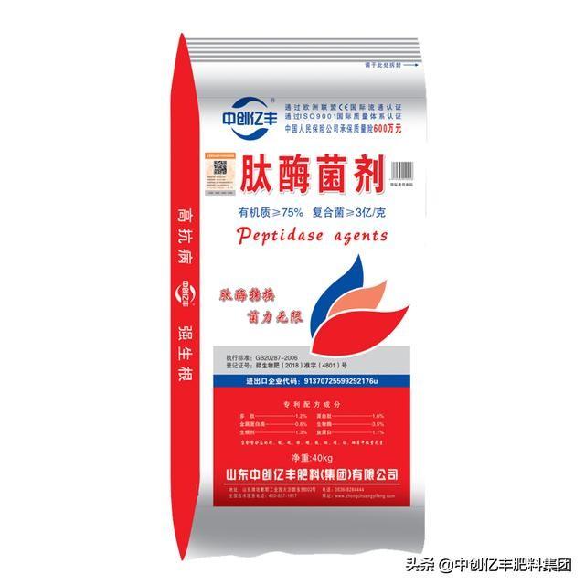 天竺葵花语象征与寓意(适合家庭室内养的花)